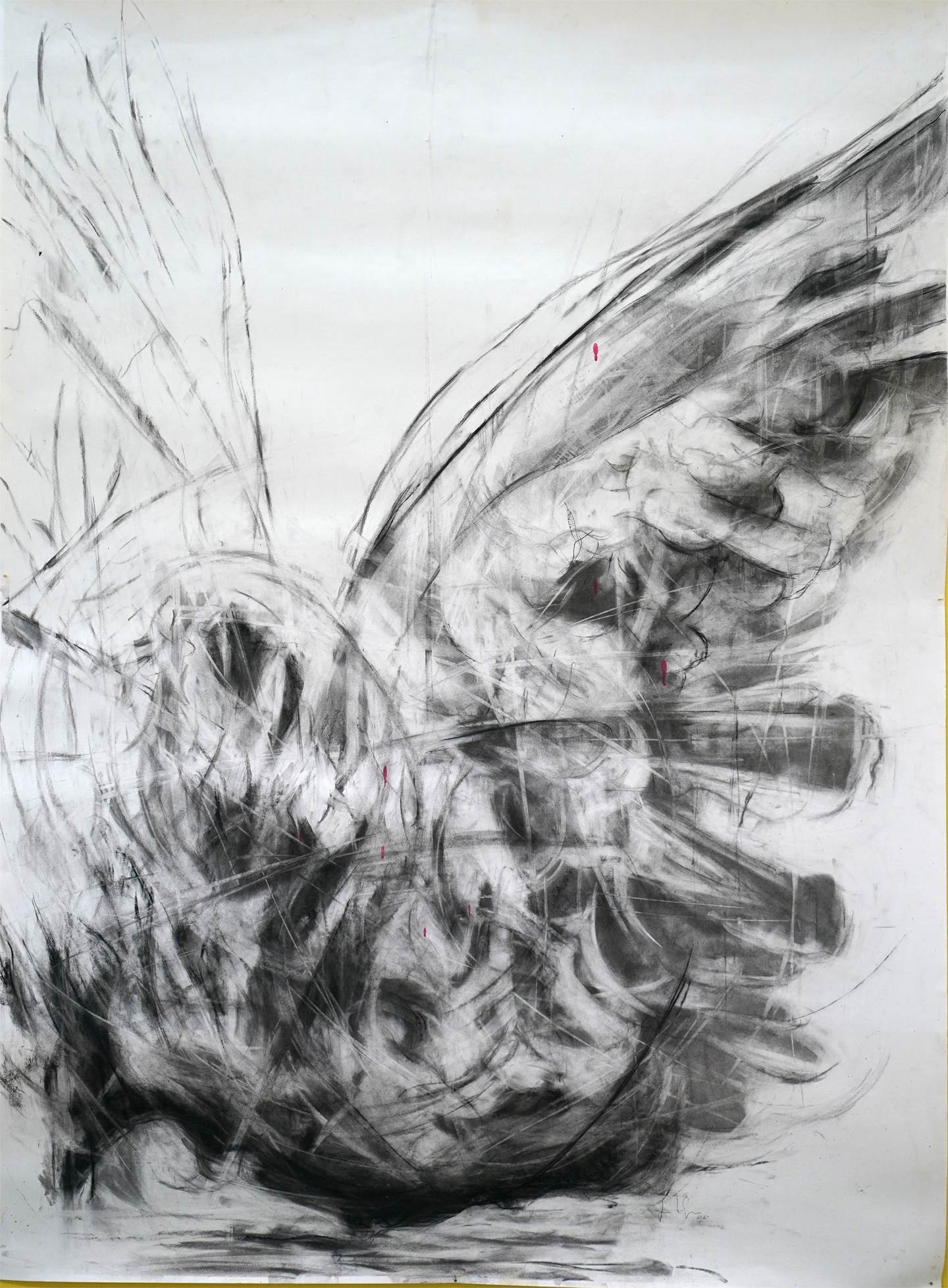pássaro negro nr.2, original Animaux Technique mixte Dessin et illustration par Juan Domingues