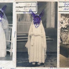 Totem / Extra Virgens I, original Animaux Analogique La photographie par Diogo  Goes