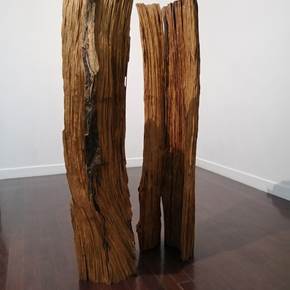 O Bosque (Dois em um), Escultura Madeira Homem original por Volker Schnüttgen