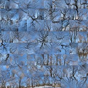 Winter - Sunny Snow Day Opus 1, original Naturaleza Digital Fotografía de Shimon and Tammar Rothstein 