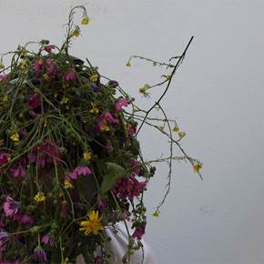 In testa ho solo fiori, original Retrato Digital Fotografía de Pantaleo Musarò