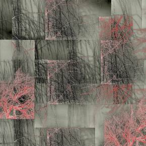 Winter - Weeping Willow Opus 2, original Naturaleza Digital Fotografía de Shimon and Tammar Rothstein 