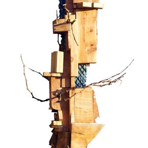 Edifício terra I, original Nature Wood Sculpture by Miguel  Neves Oliveira