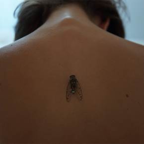 Cicada, original Figure humaine Numérique La photographie par Pantaleo Musarò